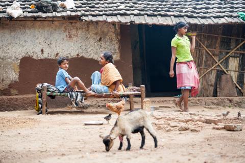 Goat Farming